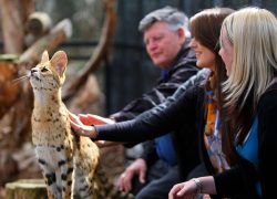 Melbourne Zoo – Featuring Nature’s Best Creations