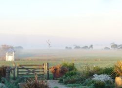 The Bellarine Peninsula