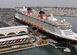 Guide to Holiday Cruises and Port Canaveral Transportation