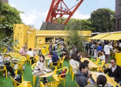 Tokyo’s Top Attractions in Summer