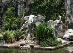 Visitor Attractions In Indonesia