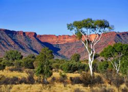 Central Australia: The Western MacDonnell Ranges