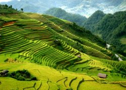 Sapa in Focus: A Brief Introduction to a Promising Town in Vietnam