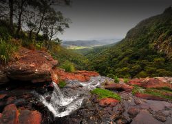 Mt Tamborine Qld