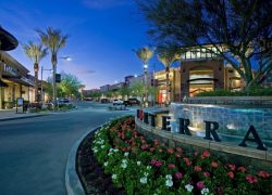 Some Good Places to Visit in Phoenix, Arizona