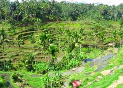 Things to Do in Beautiful Bali