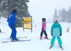 Travel Advice for Taking the Kids Skiing