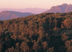 National Parks of the Victorian High Country