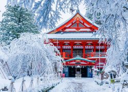 5 Reasons a Japan Snow Trip is a Must!