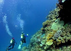 The Ultimate Diving Destination – Australia