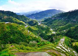 Banaue Rice Terraces