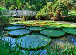 Top 10 Places To Visit In Gainesville, Florida