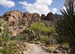 Phoenix Attractions That Are Not to Be Missed!