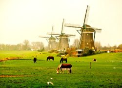 Netherlands Travel Information