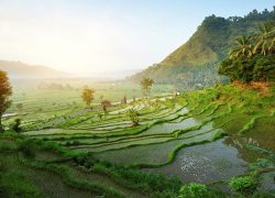 Bali – The Cultural And Scenic Paradise