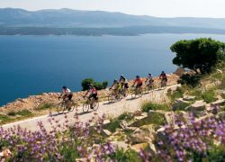 Cycling Tour Europe – Top Routes in Austria