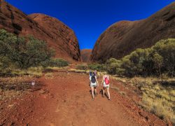 Tour Ayers Rock in Central Australia