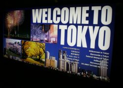 From Pandemonium to Peacefulness – Welcome to Tokyo!