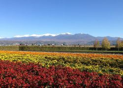 Hokkaido – An unspoiled gem of Japan