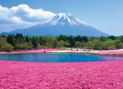 The Five Lakes of Mount Fuji