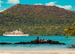 A Wildlife Holiday Cruise Around the Galapagos Islands