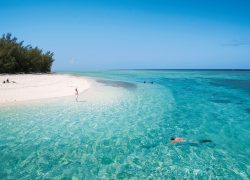 Heron Island – An Eco Friendly Holiday On Australia’s Great Barrier Reef