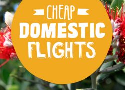 Get the Best Deals and Offers on Cheap Flights Australia Domestic