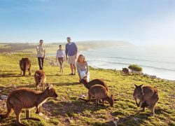 Things to Do in Australia – South Australia