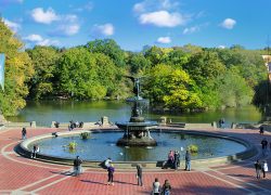 New York – A Place With Wonderful Tourist Attractions