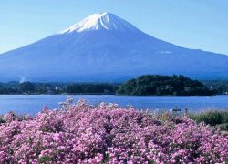 Cheap Travel to Japan – Planning Your Japanese Holiday