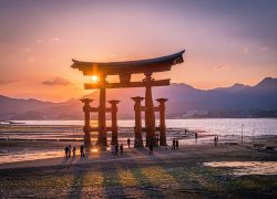 Japan Travel Destination – Miyajima