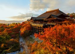 Popular Tourist Attractions in Kyoto