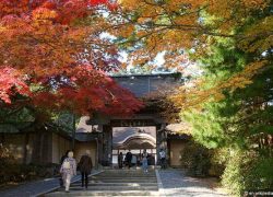 The Hypnotizing Ambiance of Kyoto, Japan