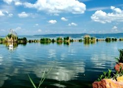 Remember to Vacation at Lake Balaton Hungary