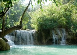 Wild Adventure Vacation Tips in Laos