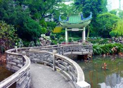 Lou Lim Iok Garden – Macau’s Idyllic Beauty