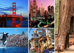 Top Travel Destinations in USA