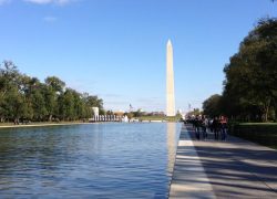 5 Things You Will Love to Do in Washington DC