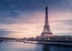 Blossoming In Paris Through The Parisian Life