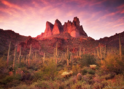 Arizona Mountains