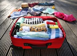 Make Your Travel Excellent by Learning the Best Travel Packing Tips