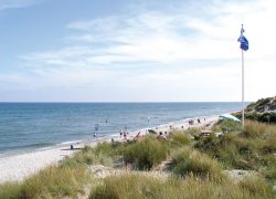 Visit Blue Flag Denmark Beaches – Surfer’s Paradise in Summer!