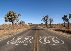 USA Road Trips – Palm Springs California