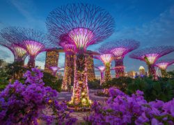 Singapore Tourist Attractions You Must Visit