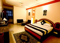 Hotels in South Delhi – offer pleasant stay for Tourists