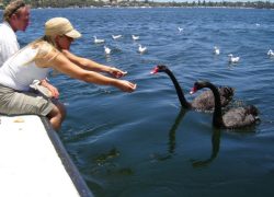 Perth, Western Australia – A Beautiful City Built Beside the Swan River