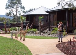 Visiting Canberra With Kids