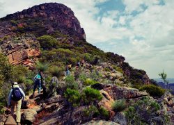 Top Trekking and Camping Destinations in Australia