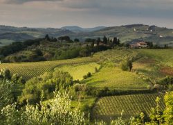 What You Should Know Before Traveling to Tuscany
