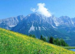 Travel Tips in Visiting Austria